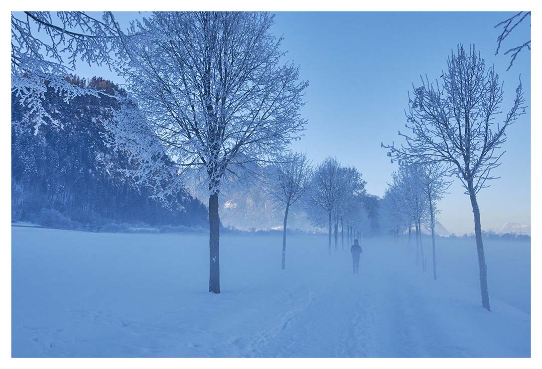02 - Februar - jogging Girl im Nebel