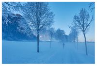 02 - Februar - jogging Girl im Nebel